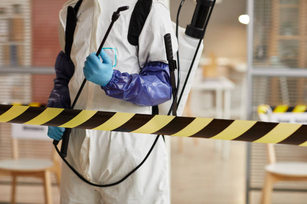 Professional Hoarding Cleanup technician working in Hampton, IL